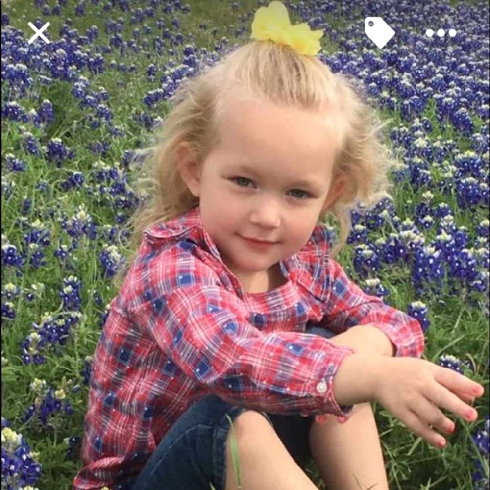 Texas Bluebonnets